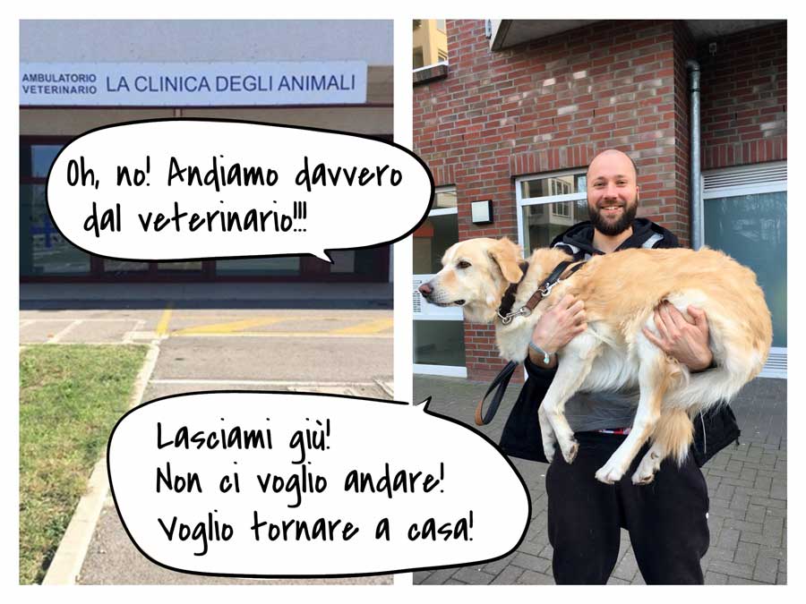 fotostoria veterinario 2 1 | Foto storie