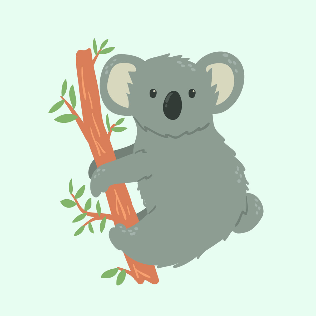 Koala