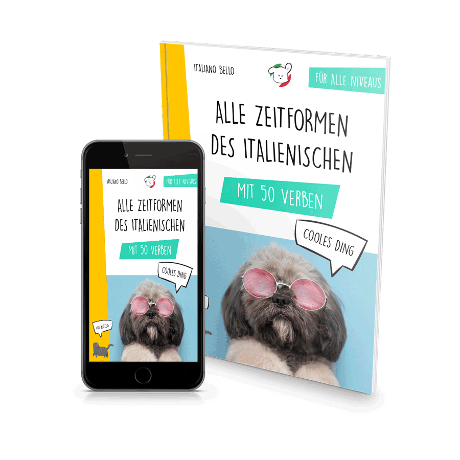 Alle Zeitformen transp | Trainer Verbi